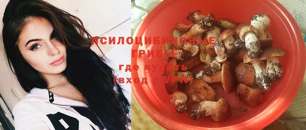 ГАЛЛЮЦИНОГЕННЫЕ ГРИБЫ Чита